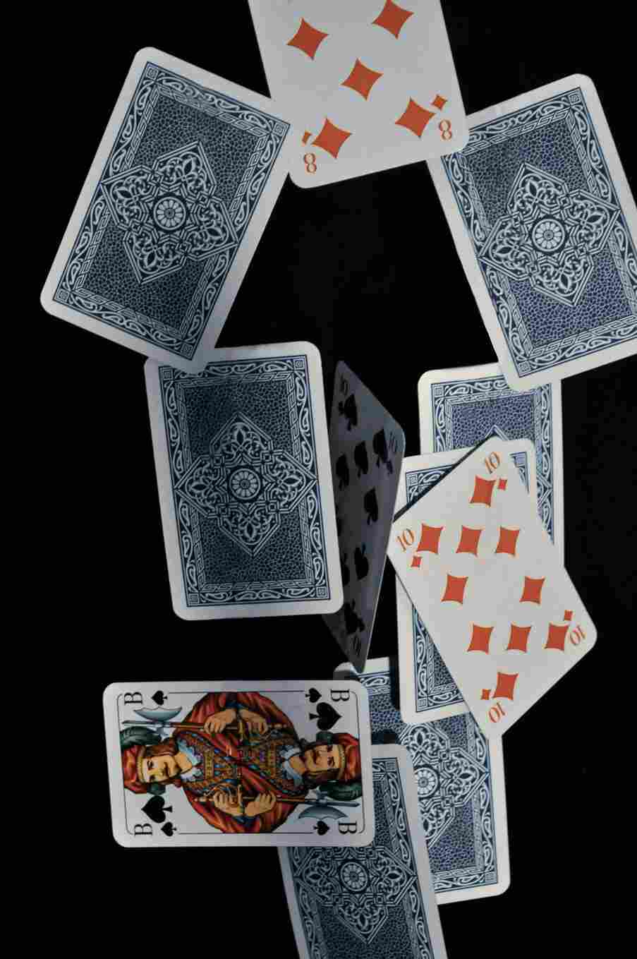 iwild casino Danmark